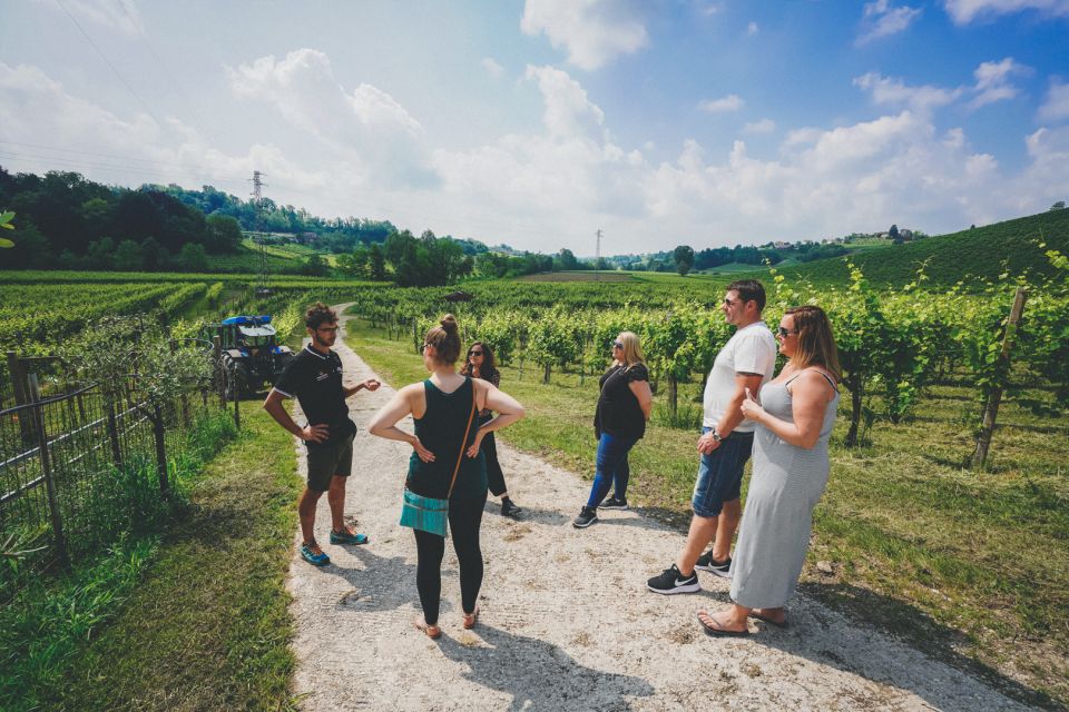 Venice: Prosecco Wine Tasting Tour - Light Lunch With Local Dishes