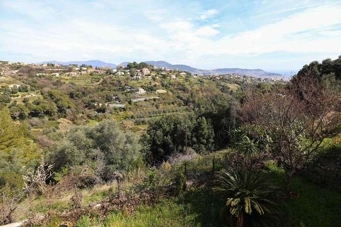 Viator Exclusive: Local Cooking Class & Dinner With View of Nice - Group Size