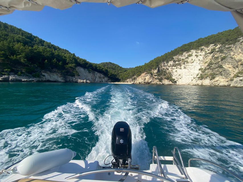 Vieste: Boat Tour of the Gargano Coast - Swimming Stops