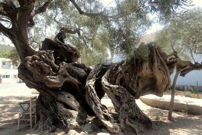 VIP Full Day Tour Shipwreck Blue Caves and Top View - Visiting Xigia Sulfur Beach