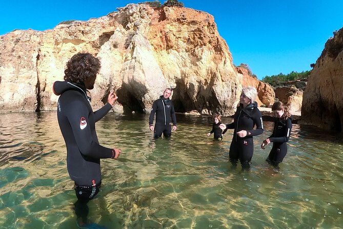 Visit Secret Caves, Hidden Beaches and Snorkel in Alvor, Portugal - Snorkeling With Aquatic Life