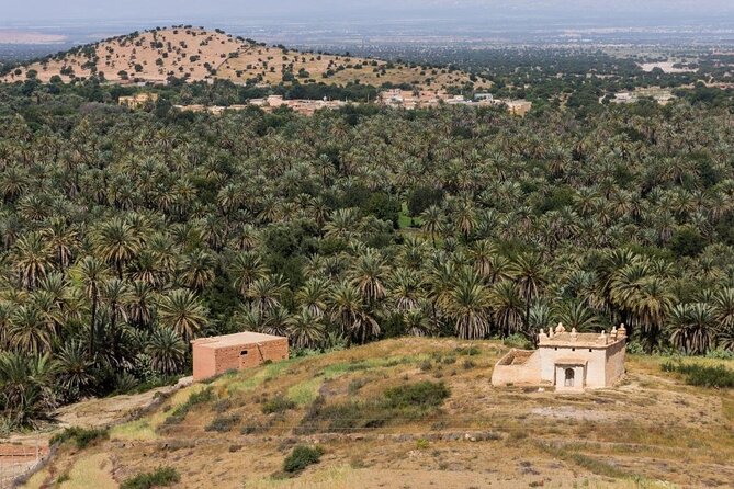 Visit Taroudant and Tiout 1 Day From Agadir - Customer Reviews and Ratings