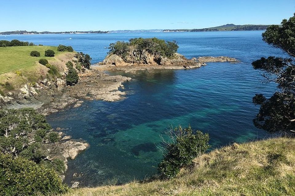 Waiheke Island: Double Headland Premium Guided Coastal Walk - Customer Reviews