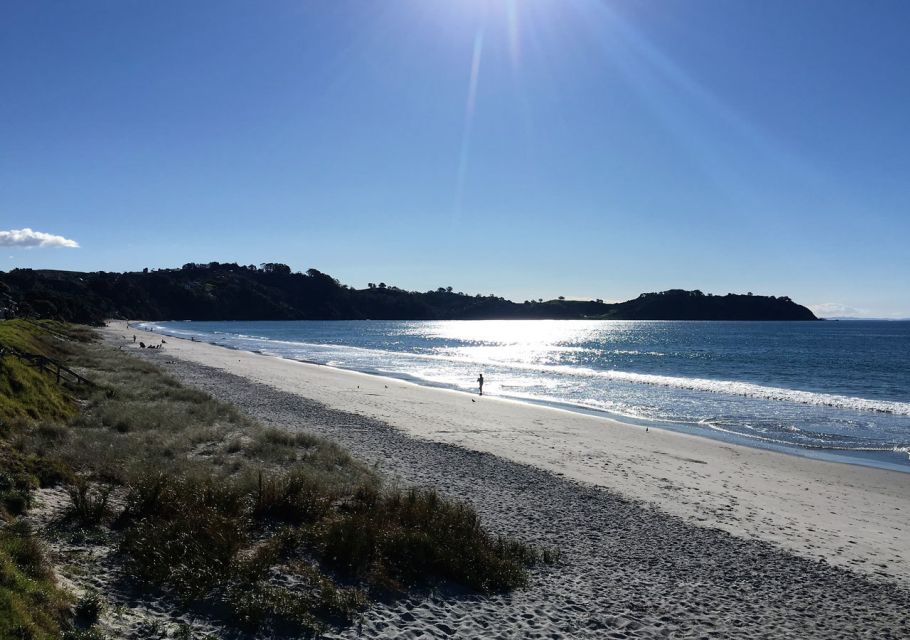 Waiheke Island: Forest and Beach Premium Guided Walk - Experience Description