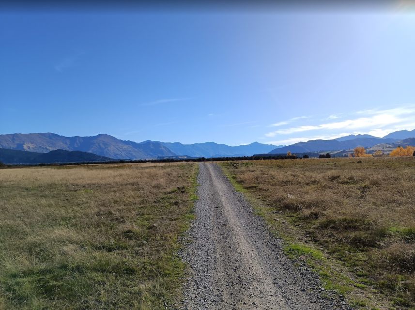 Wanaka and Hawea: Trail Ride on Bike or E-Bike - Customer Reviews