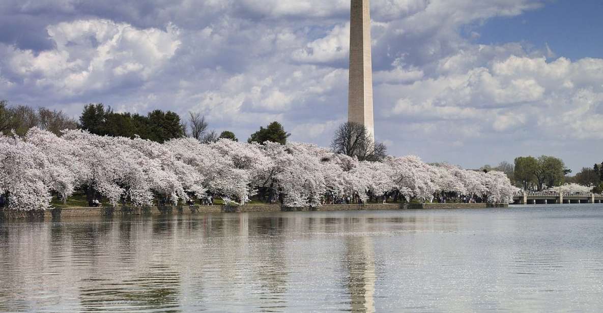 Washington Dc: Half-Day Bus Tour With Optional Museum Ticket - Booking Details