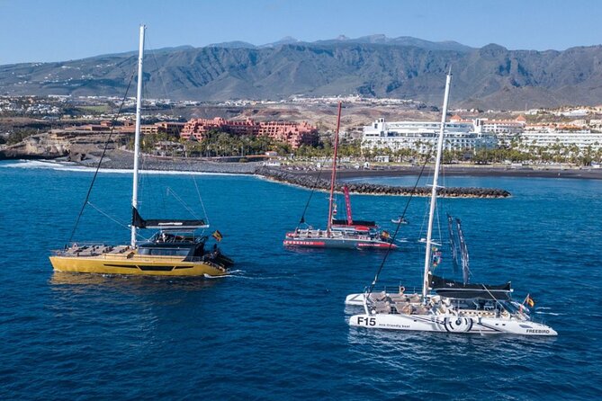 Whale Watching Catamaran in Costa Adeje (Including Drinks & Sandwich) - Ecosystem and Marine Life Sightings