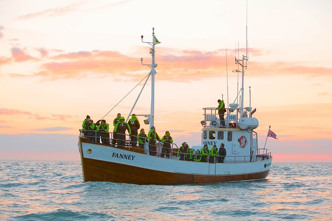 Whale Watching in Husavik - Warming Up on the Return