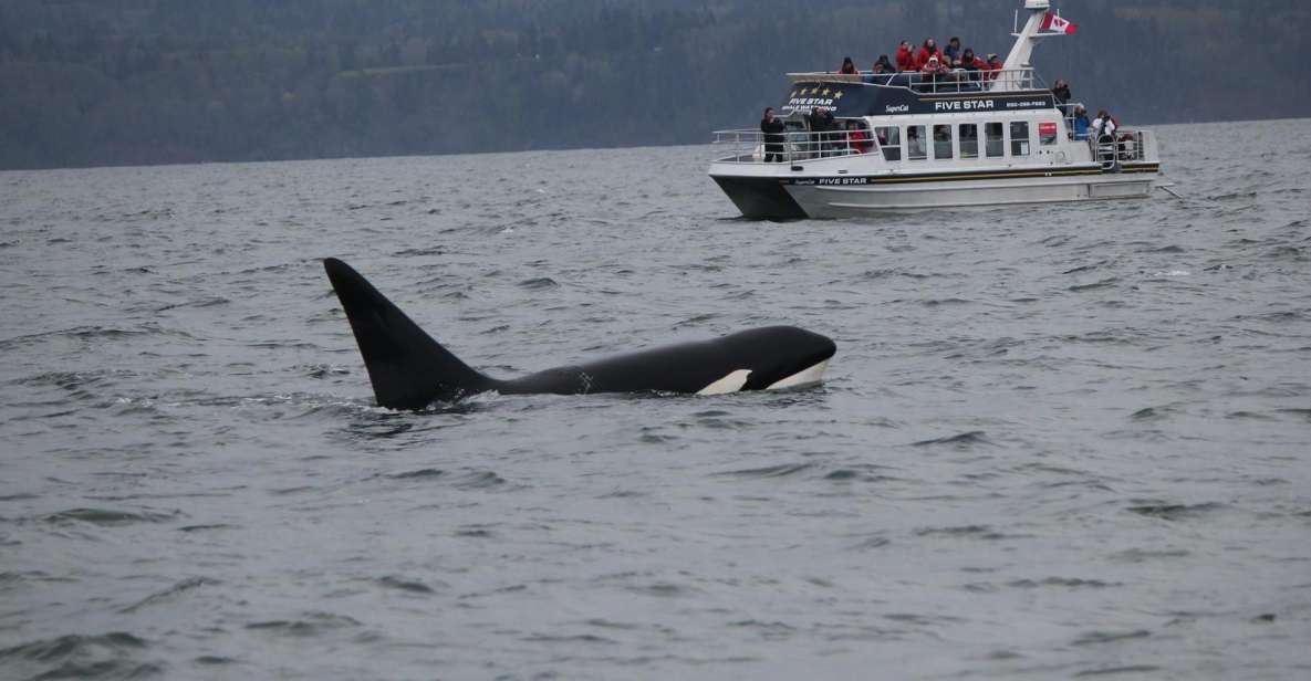 Whale Watching Tour in Victoria, BC - Exploring the Salish Sea