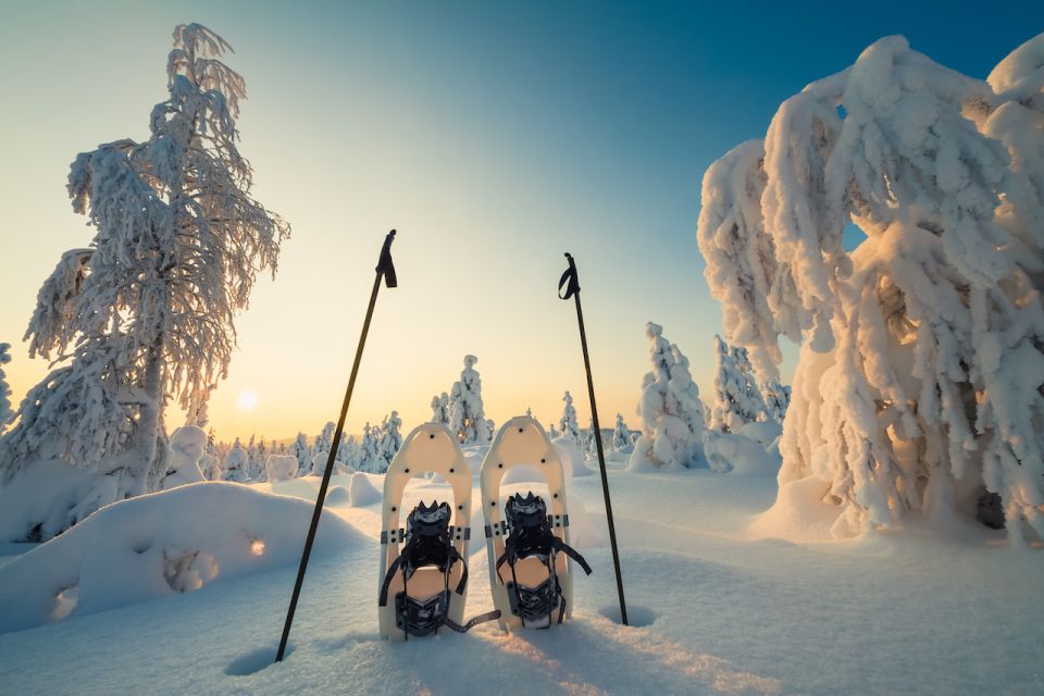 Whistler: Backcountry Snowshoeing Tour With Guide - Age Restrictions