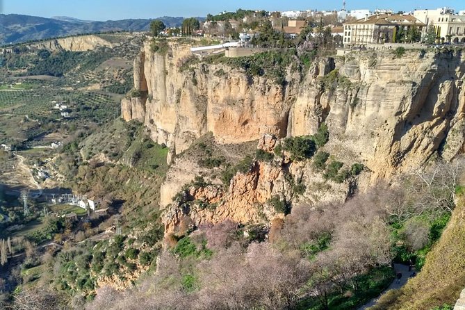 White Villages and Ronda Guided Day Tour From Seville - Iconic Puente Nuevo in Ronda