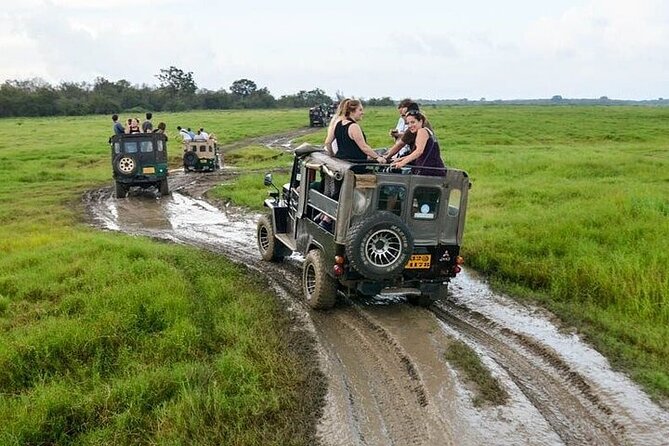 Wilpattu National Park Jeep Safari From Negombo / Waikkal (All Inclusive) - Preparing for the Safari