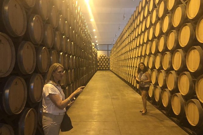 Windmills of Don Quixote Wine Tour & Tasting From Madrid - Tour Highlights and Inclusions
