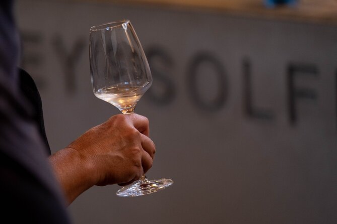 Wine Tasting and Immersive Cellar Tour - 180-Degree Video Experience