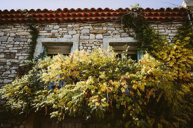 Wine Tour & Food Experience in Pic St Loup - Additional Information