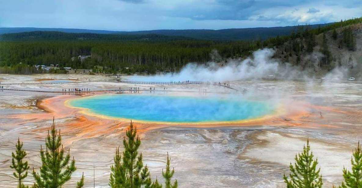 Yellowstone, MT: Lower Loop Private Tour - Customize Your Experience