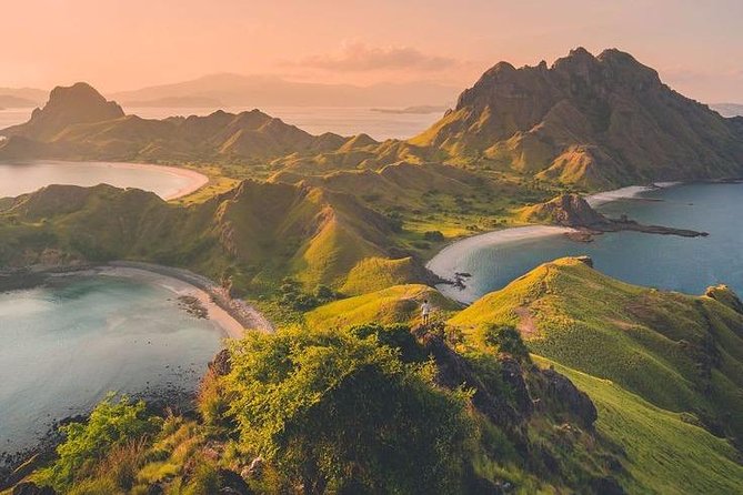 1 Day Komodo Trip by Private Fast Boat - Arrival and Departure