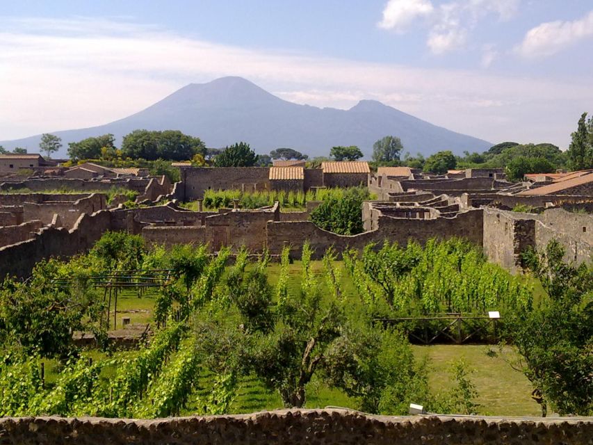 2-Hour Private Walking Tour of Pompeii - Skipping the Lines With Express Tickets