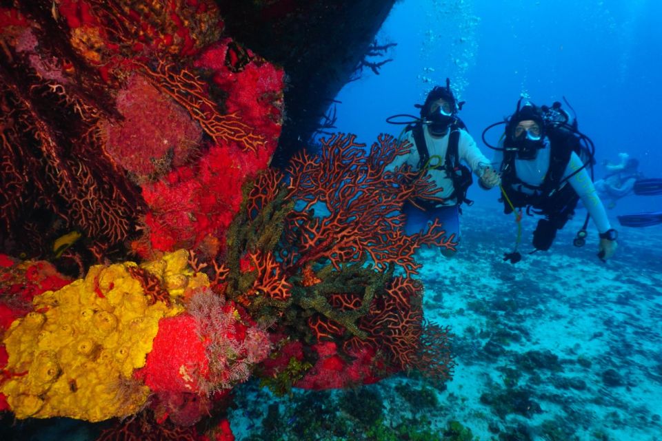 2 Tank Morning Cozumel Dives for Certified Divers - Frequently Asked Questions