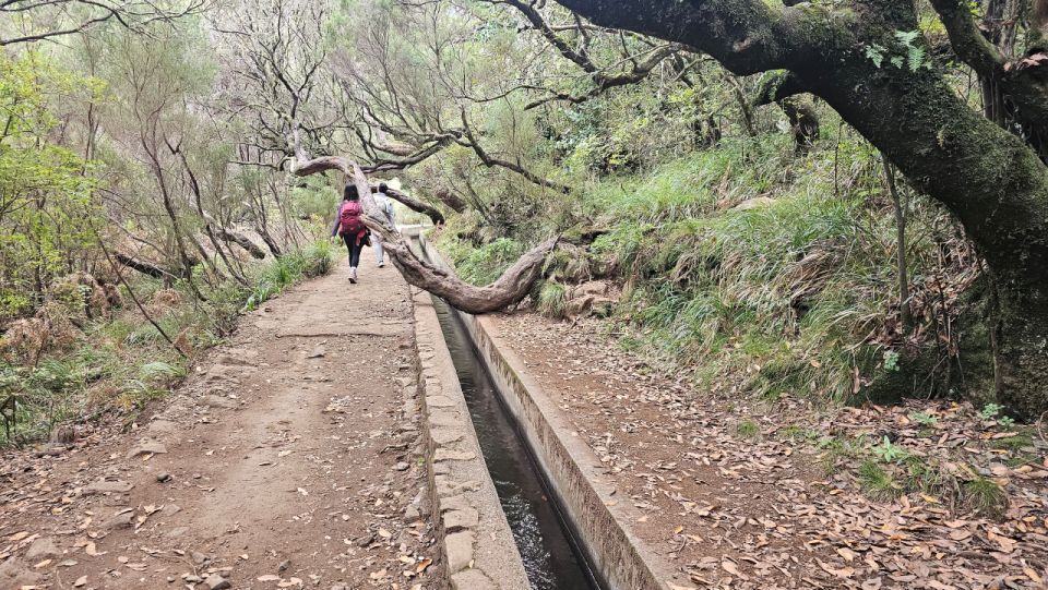 25 Fontes Levada Hike - Rabaçal (Calheta) - Booking Information