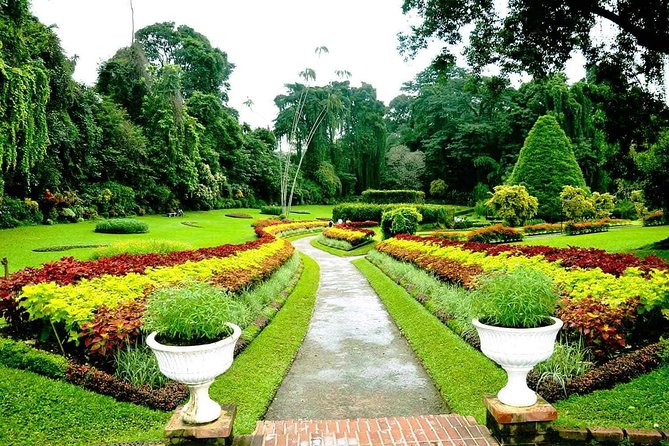 3 Days Tour to Kandy Nuwara Eliya & Sigiriya From Colombo - Booking Information