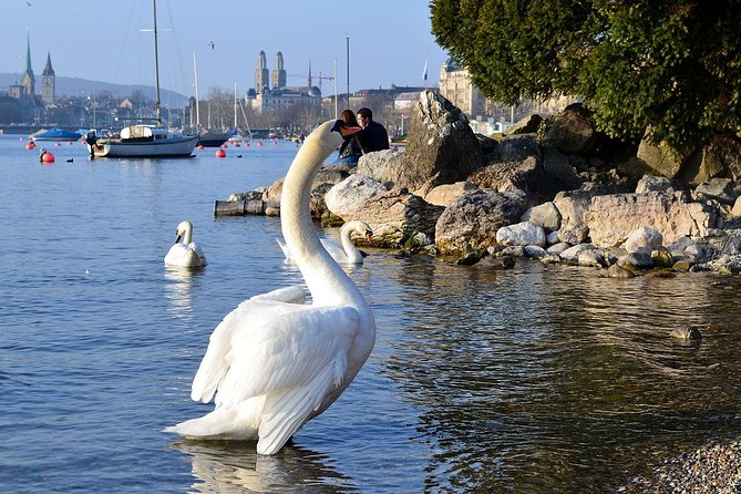 3 in 1: Zurich Walking Tour - Cruise on the Lake - Cable Car Ride to Felsenegg - Transportation and Duration