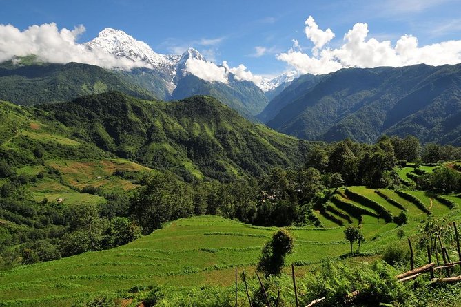4-day Poon Hill Trek - About the Trek