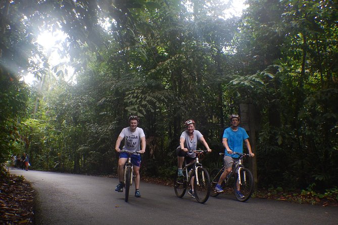 4 Hours Cycling in the Nature at Pulau Ubin Singapore - Tips for an Enjoyable Ride
