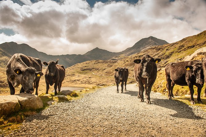 5-Day Discover Wales Small-Group Tour From London - Packing and Luggage Allowance