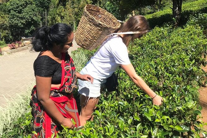 5 Days Tour in Sri Lanka (Hotels With Breakfast & Luxury Car) - Cancellation Policy