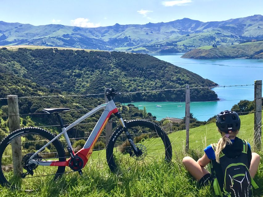 Akaroa: Guided Electric Mountain Bike Tour - Group Size and Languages