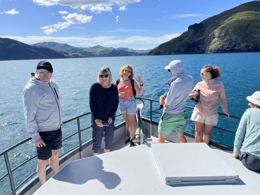 Akaroa: Scenic Coastline Wildlife Cruise - Highlights