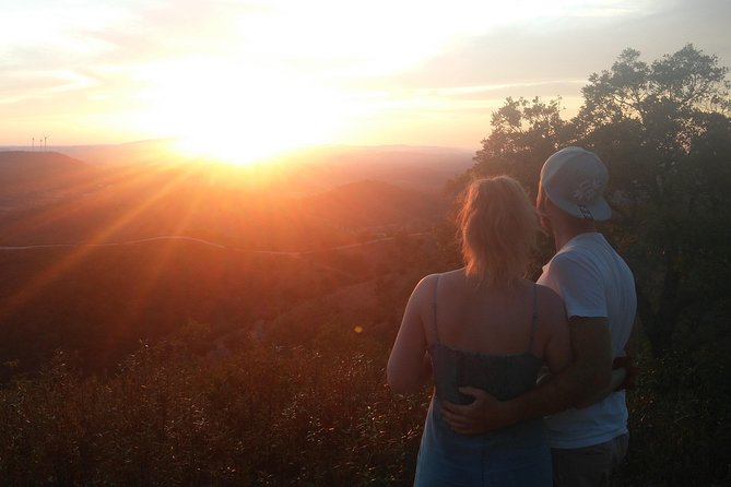 Algarve Sunset Safari Tour From Albufeira - Transportation and Logistics