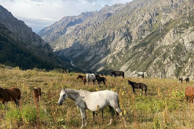 All in One-Day: Bishkek City Tour and Ala-Archa National Park - Reviews and Ratings