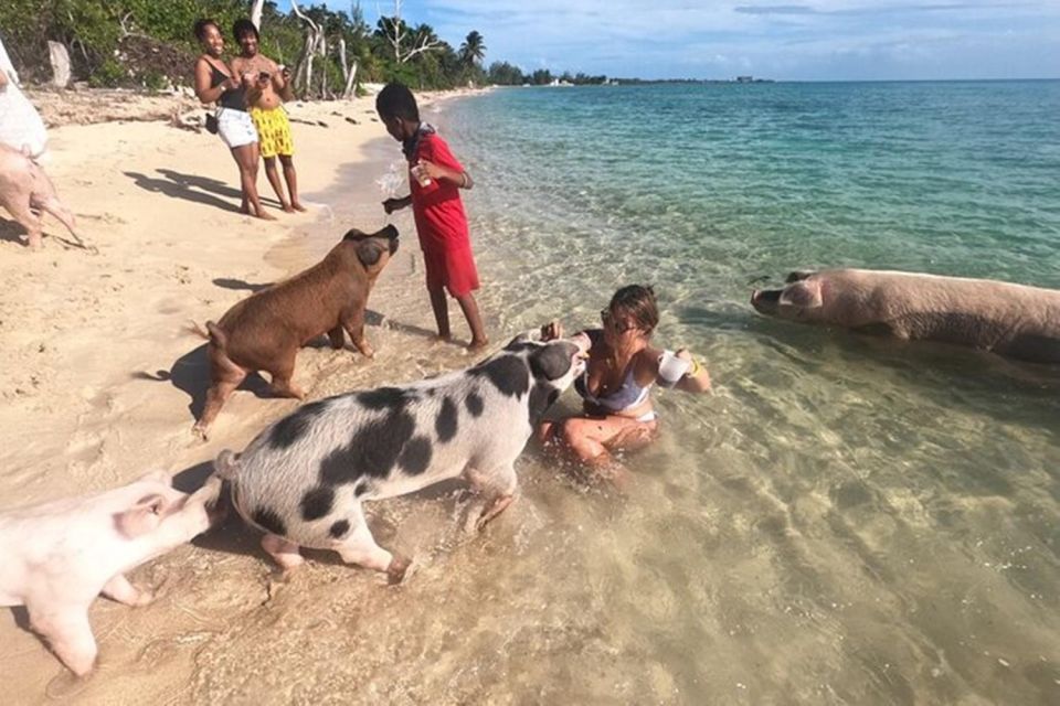 All Inclusive Swim With Pig/Turtle/Snorkel/Lunch/Shuttle - Montague Beach Conch Experience