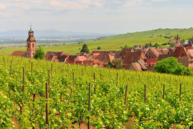 Alsace Wine Route Small Group Half-Day Tour With Tasting From Strasbourg - Meeting Point and Duration Details