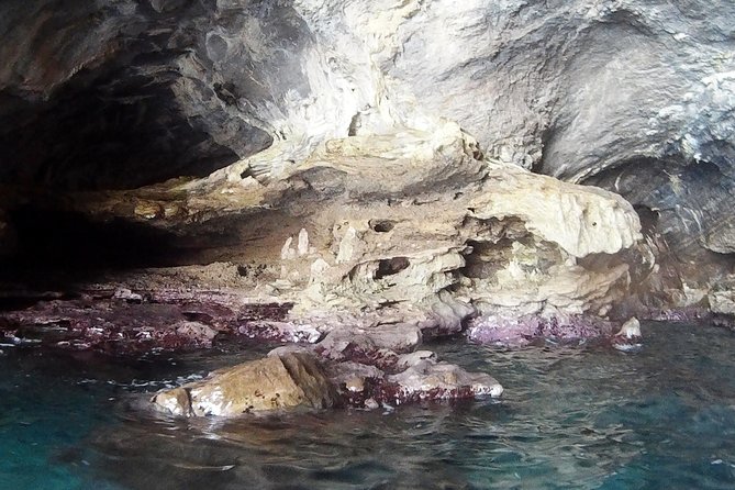 Amalfi Coast 4-Hour Kayak Tour From Marina Del Cantone - Knowledgeable Guide