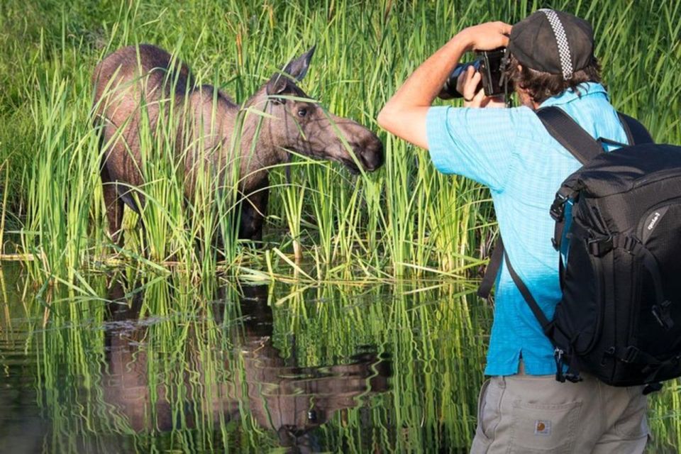 Anchorage: Sunset Photo Safari - Frequently Asked Questions