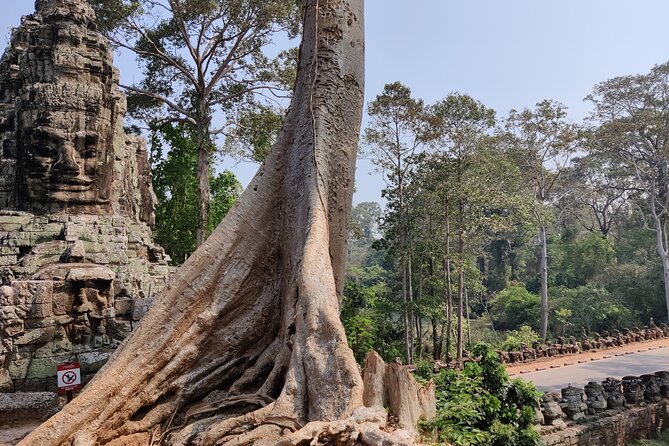 Angkor Wat Temple Tour With Own Tuk Tuk Driver - Entrance Fees