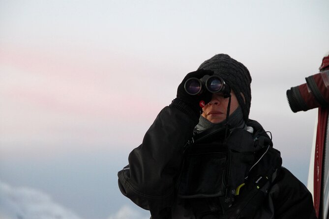 Arctic Fjordcruise & Safari in Tromso With Luxury Catamaran - Wildlife Viewing and Fishing
