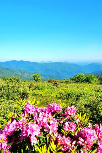 Asheville: Blue Ridge Mountains Tour for Children! - Meeting Point