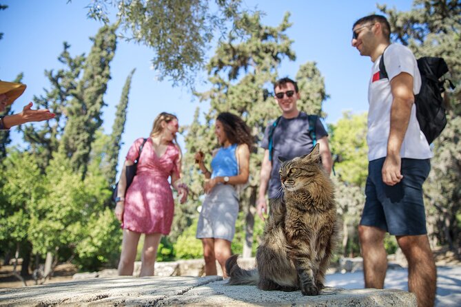 Athens Acropolis and Parthenon Walking Tour - Group Size