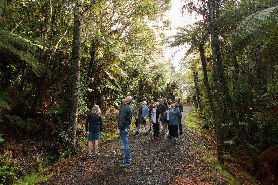 Auckland City, Beaches & Rainforest Premium Small Group Tour - Frequently Asked Questions