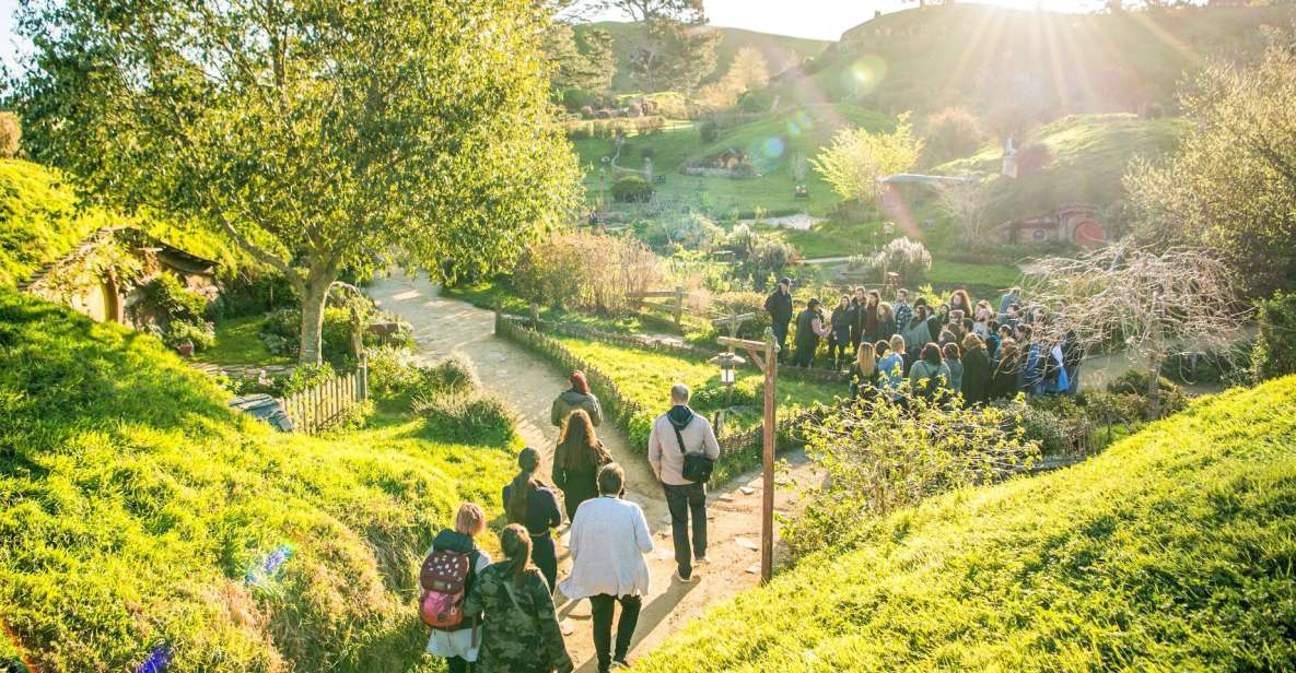 Auckland: Hobbiton Movie Set Day Trip With Festive Lunch - Background