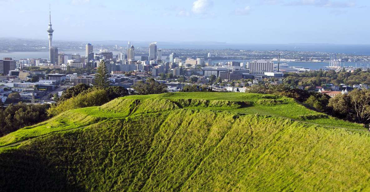 Auckland Scenic Half-Day City Sightseeing Tour - Customer Reviews