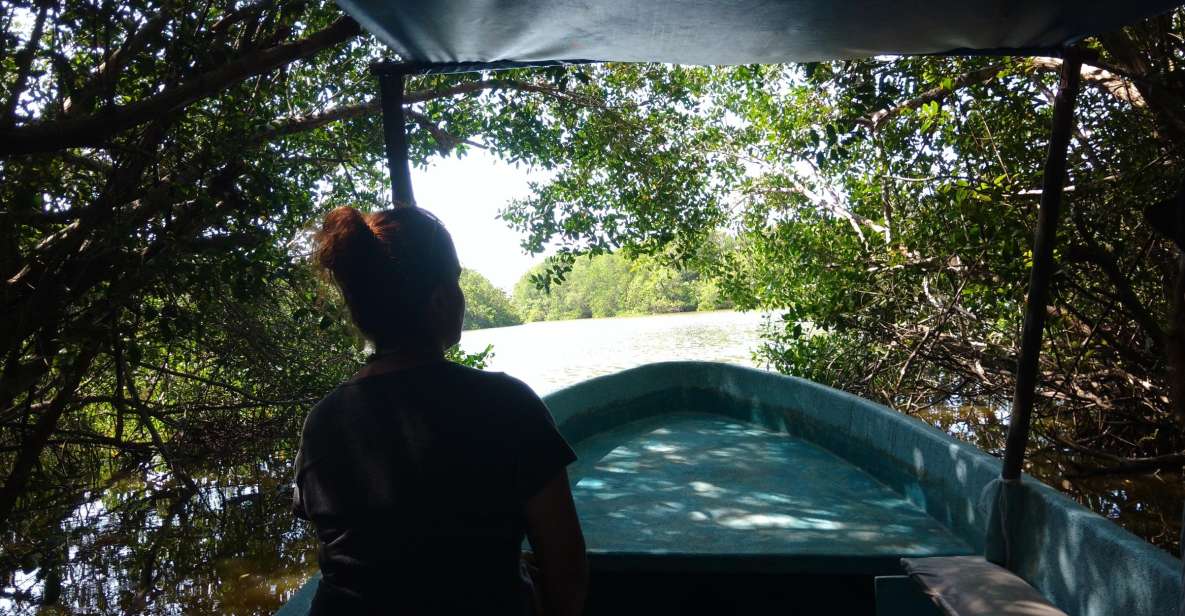 .Baby Turtle Release, Lagoon Boat Ride, and Crocodile Farm - Baby Turtle Release Experience