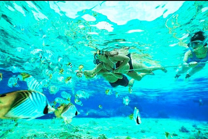 Bali Blue Lagoon Snorkeling- Tegenung Waterfall- Lunch- Transfers - Tour Details