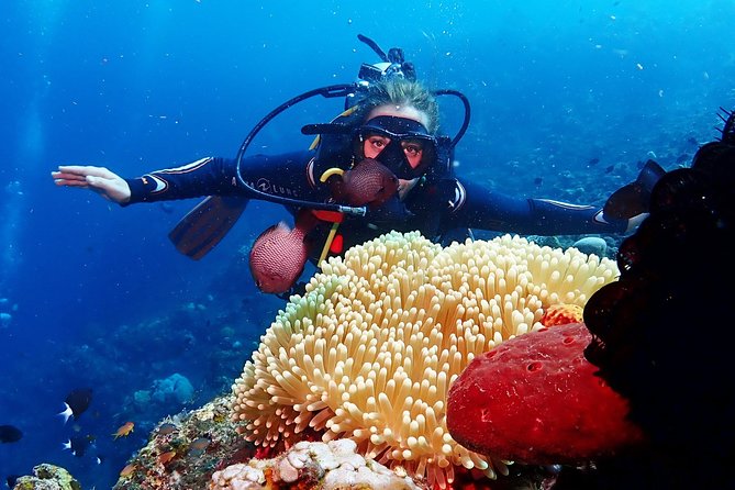 Bali Diving for Beginners: Tulamben Liberty Wreck - Suggested Pickup Times