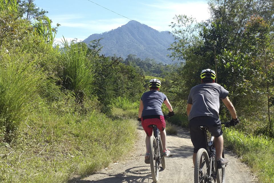 Bali: Jatiluwih Rice Terraces 1 Hour Electric Bike Tour - Exploring Jatiluwih Beyond the Tour