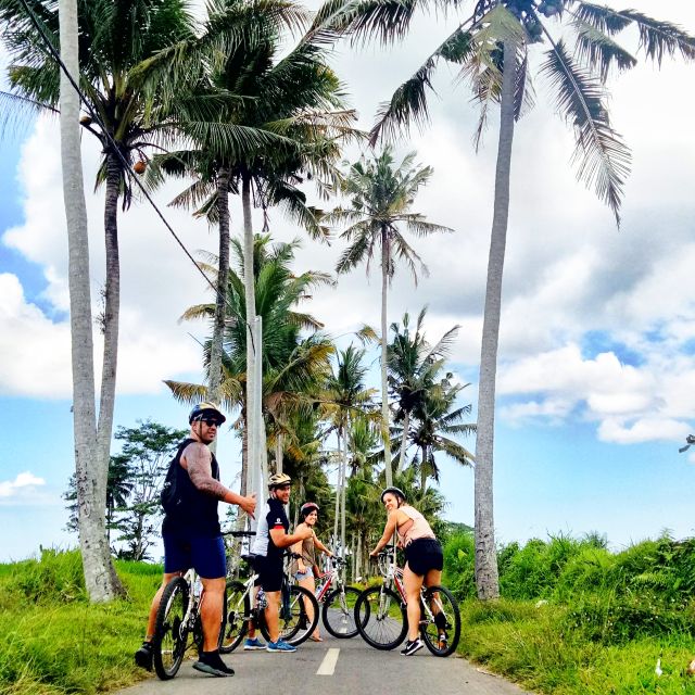 Bali Natural Downhill Cycling Tour and Visit Batur Volcano - Cancellation Policy